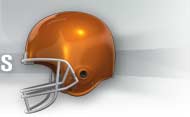 2009 NFL Predictions graphic